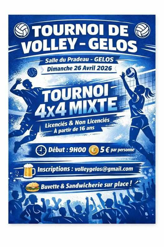 Tournoi Volley Ball 26/4/26